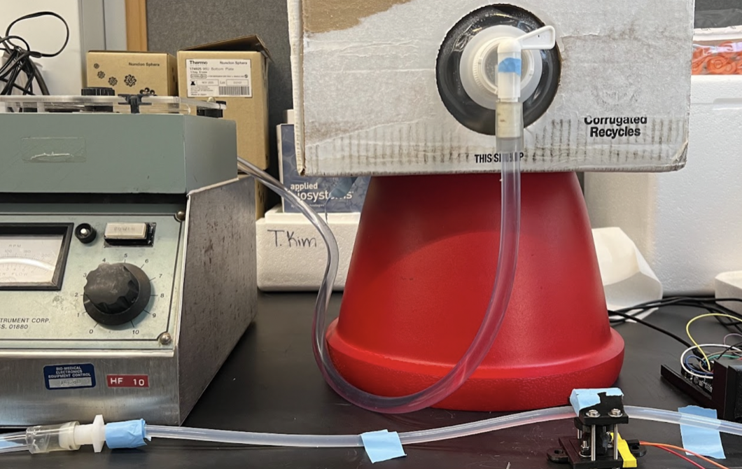 CACOM verification test rig: rotary pump and flow rate sensor setup
